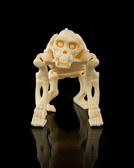 Chimpancé Esqueleto - Full3Dprint