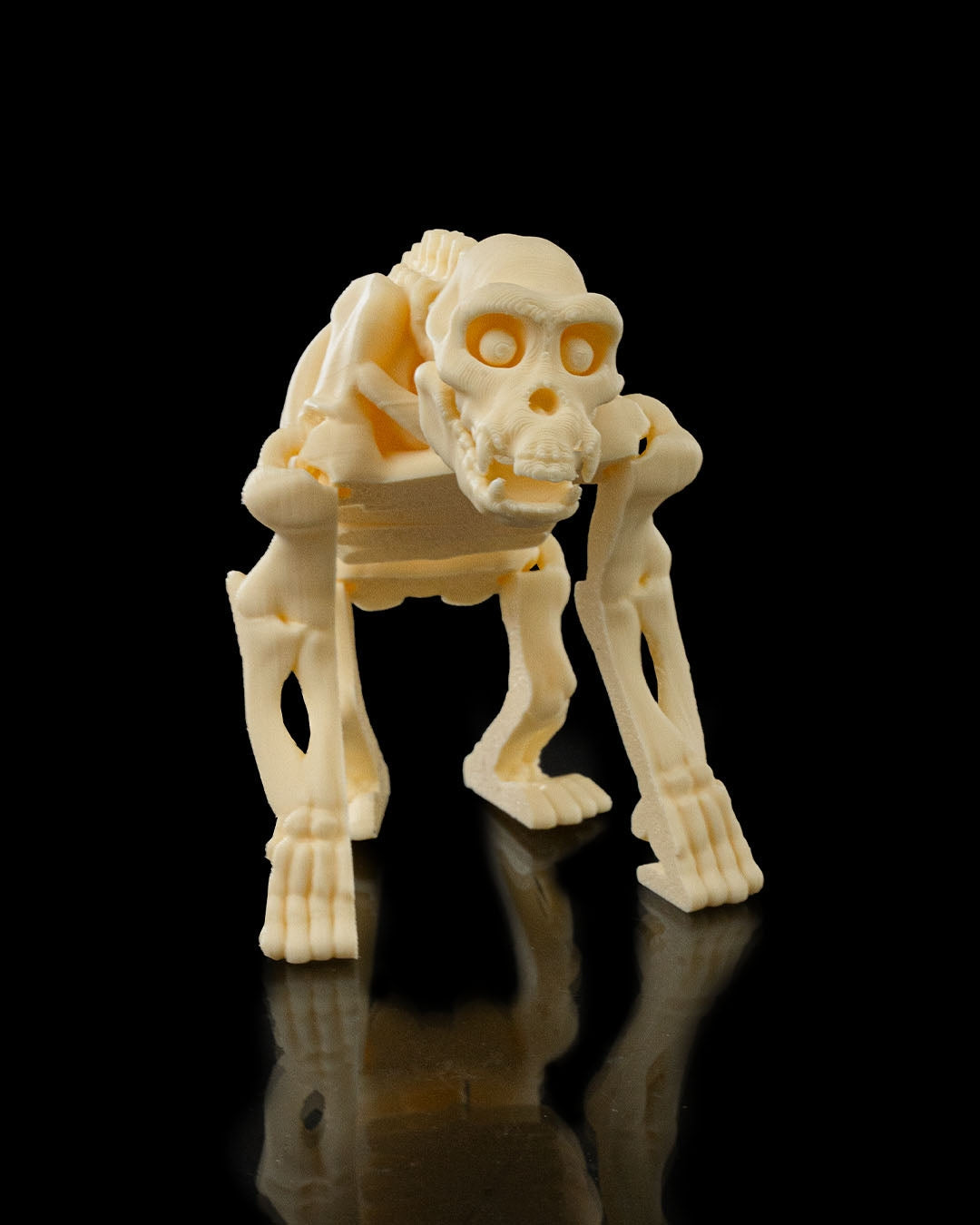 Chimpancé Esqueleto - Full3Dprint