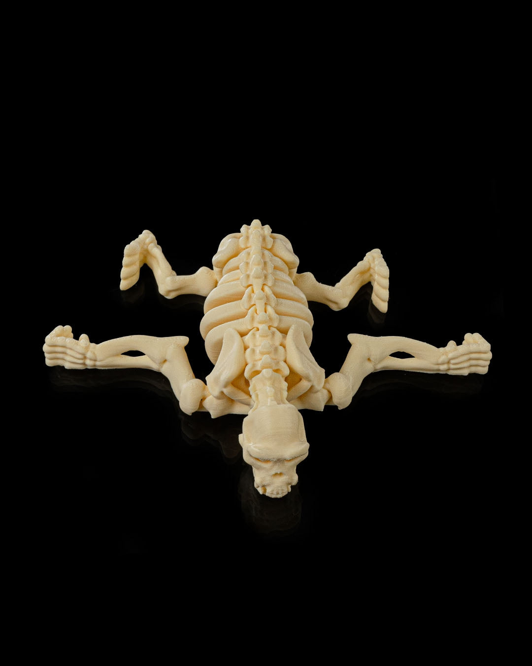 Chimpancé Esqueleto - Full3Dprint