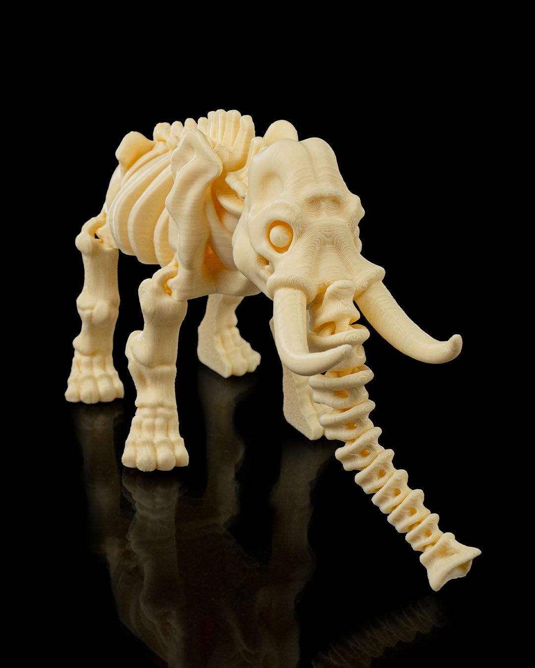 Elefante Esqueleto - Full3Dprint