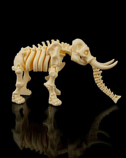 Elefante Esqueleto - Full3Dprint