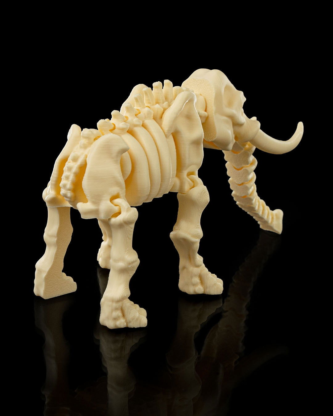 Elefante Esqueleto - Full3Dprint