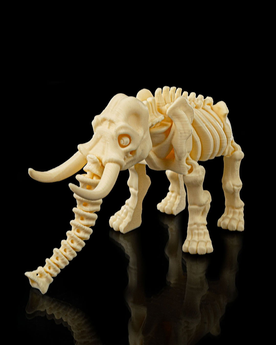 Elefante Esqueleto - Full3Dprint