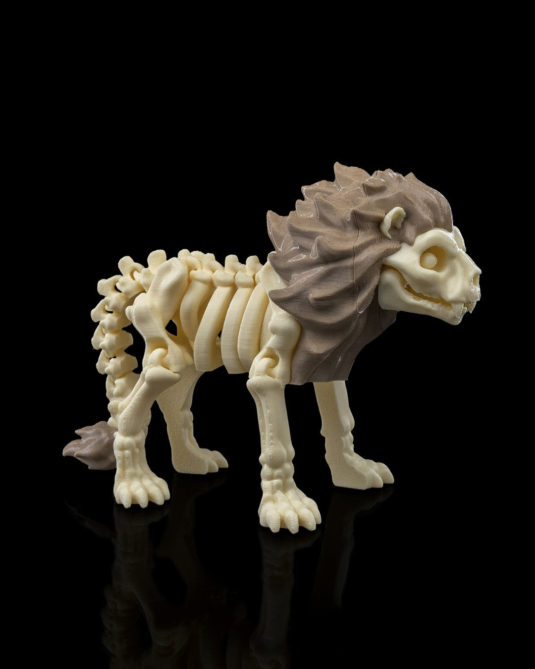 León Esqueleto - Full3Dprint