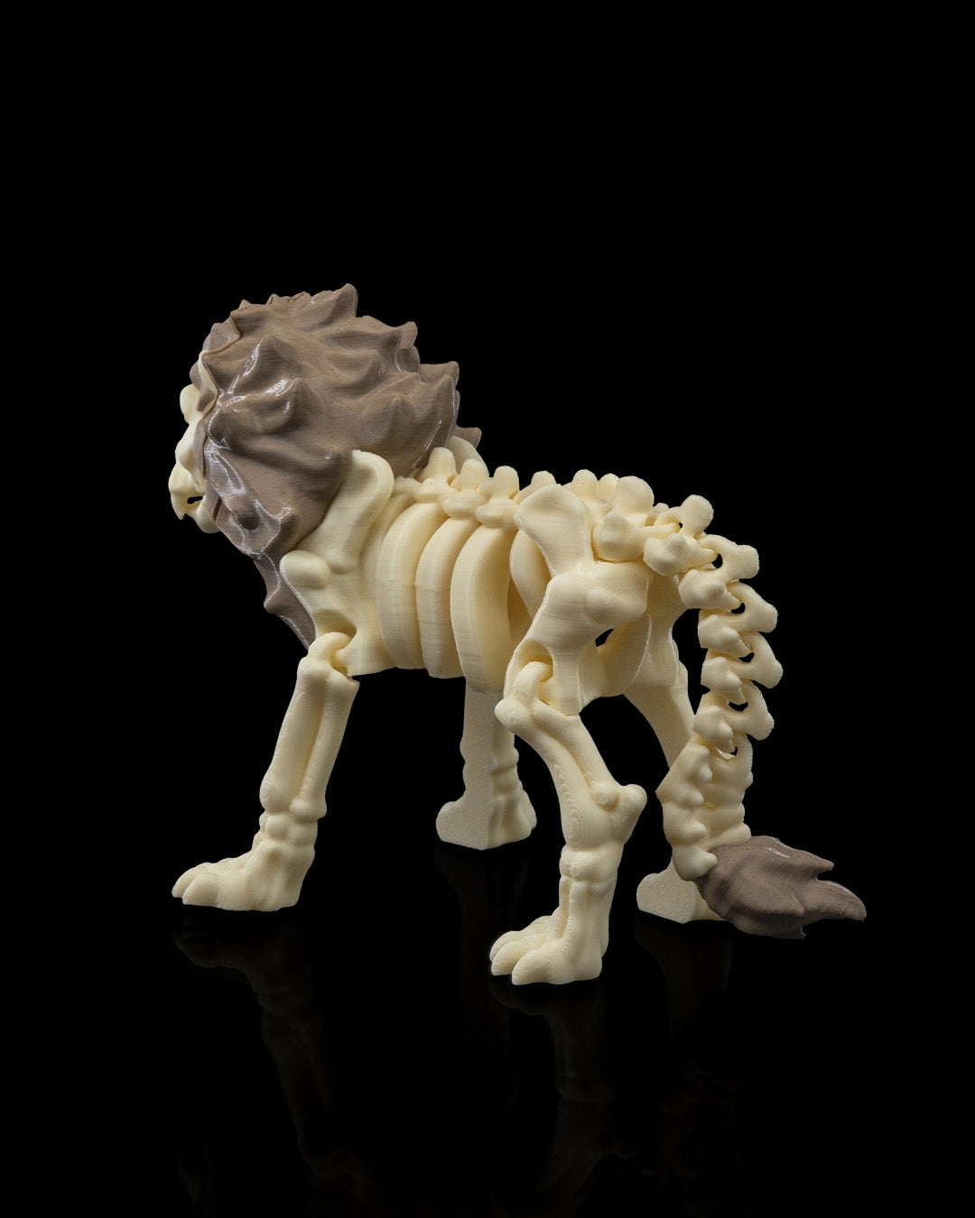 León Esqueleto - Full3Dprint